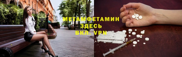 индика Верхний Тагил
