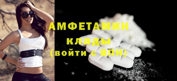 индика Верхний Тагил