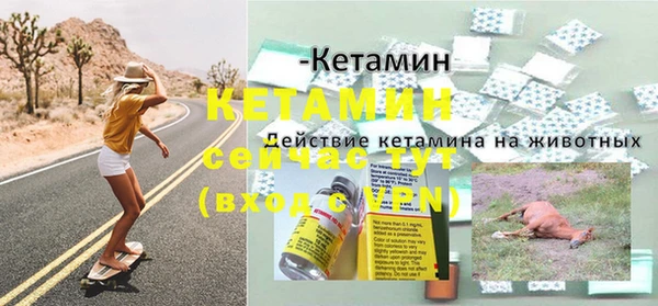дживик Чердынь