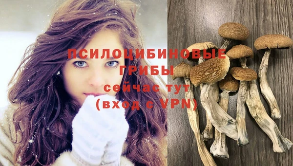 стафф Верхнеуральск